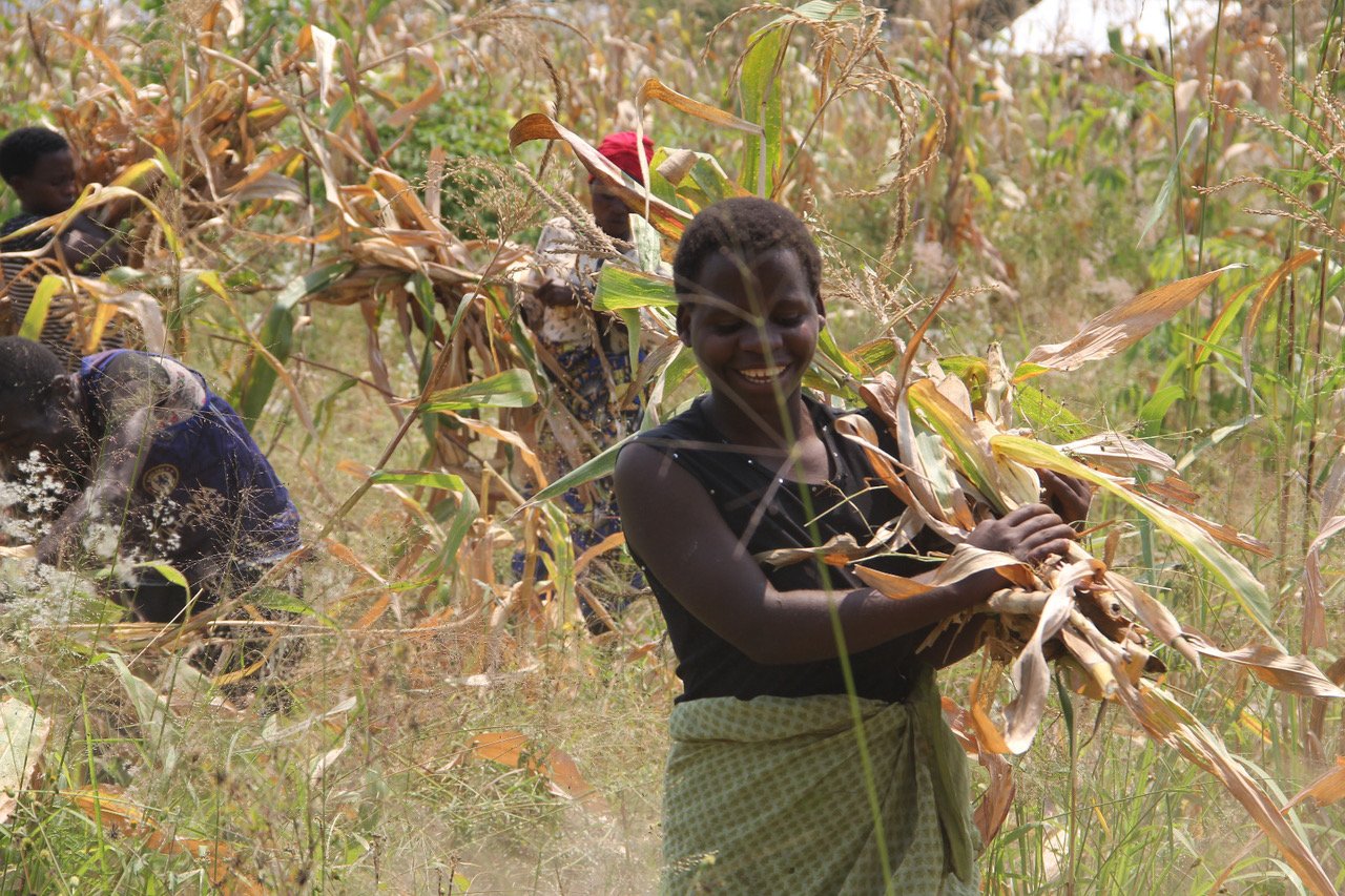 Batwa Farm at Matanda, Uganda