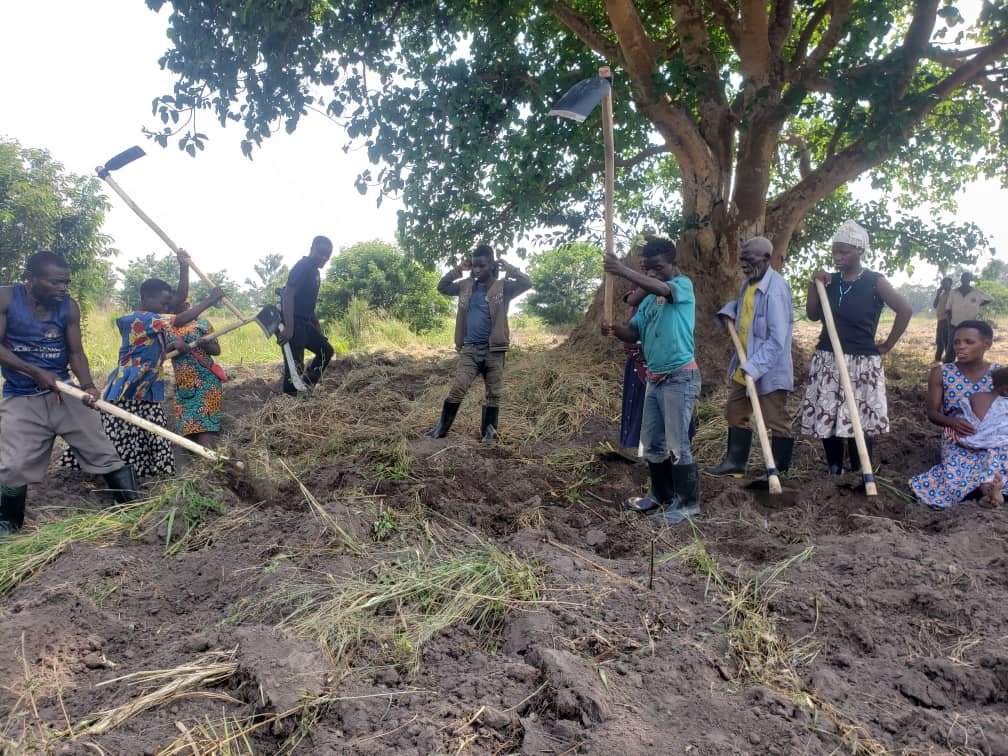 Batwa Farming
