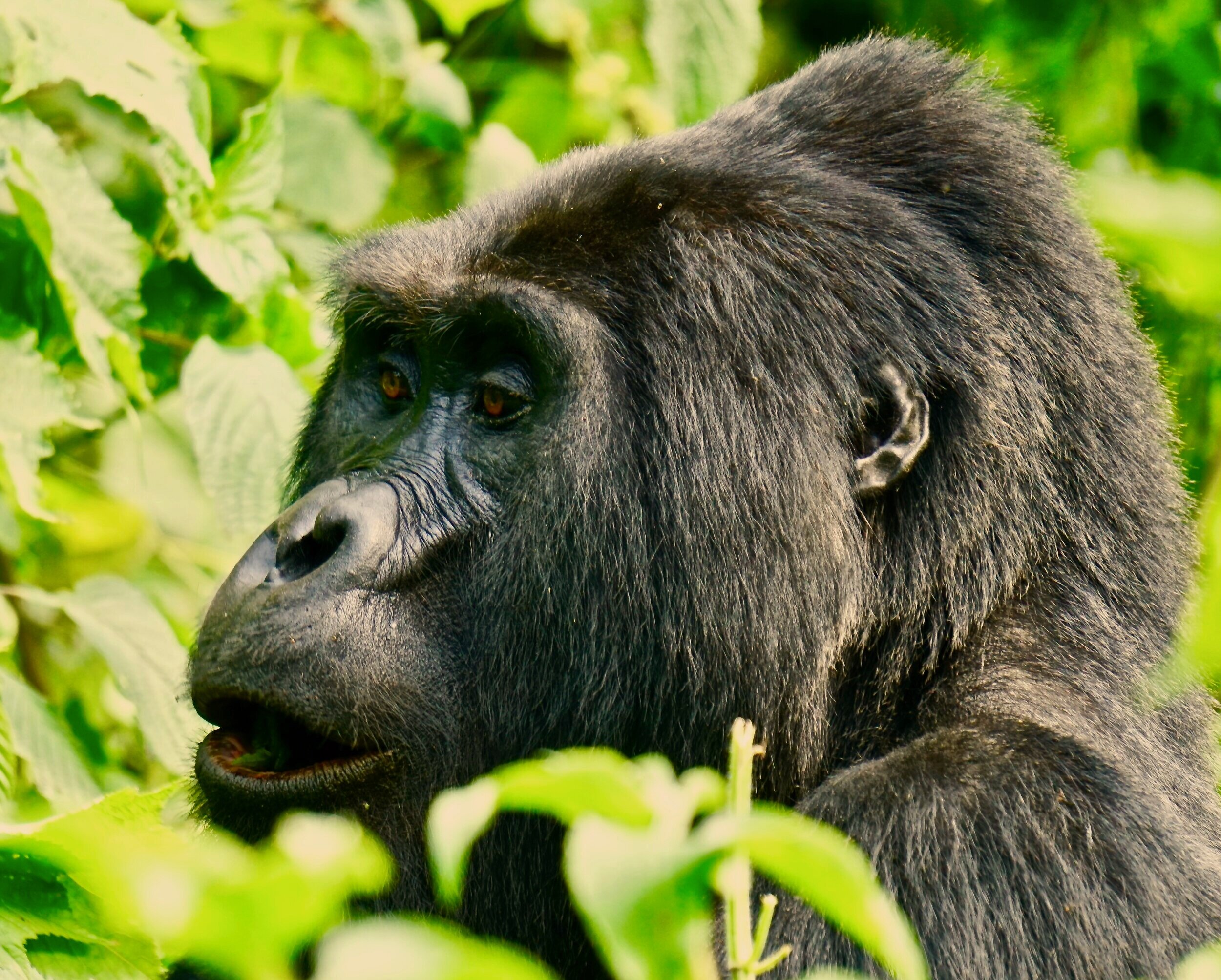 Children in community