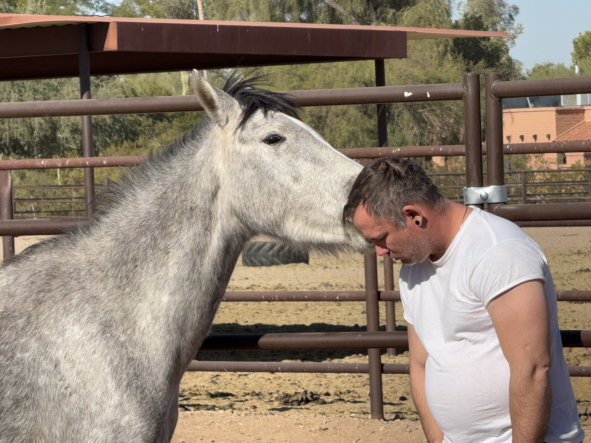 Base Camp for Veterans